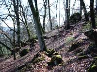 Felsen am Galgenberg